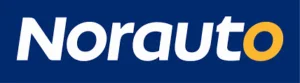Norauto Icon